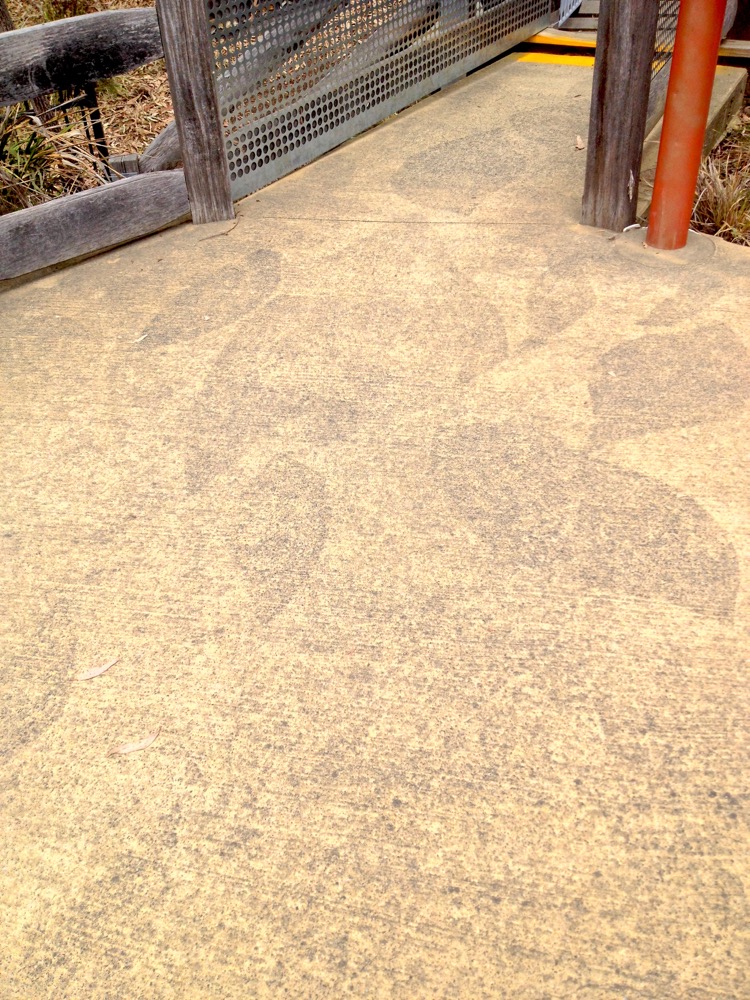 Stud Park Reserve, Knox. Accessible Playspace Design